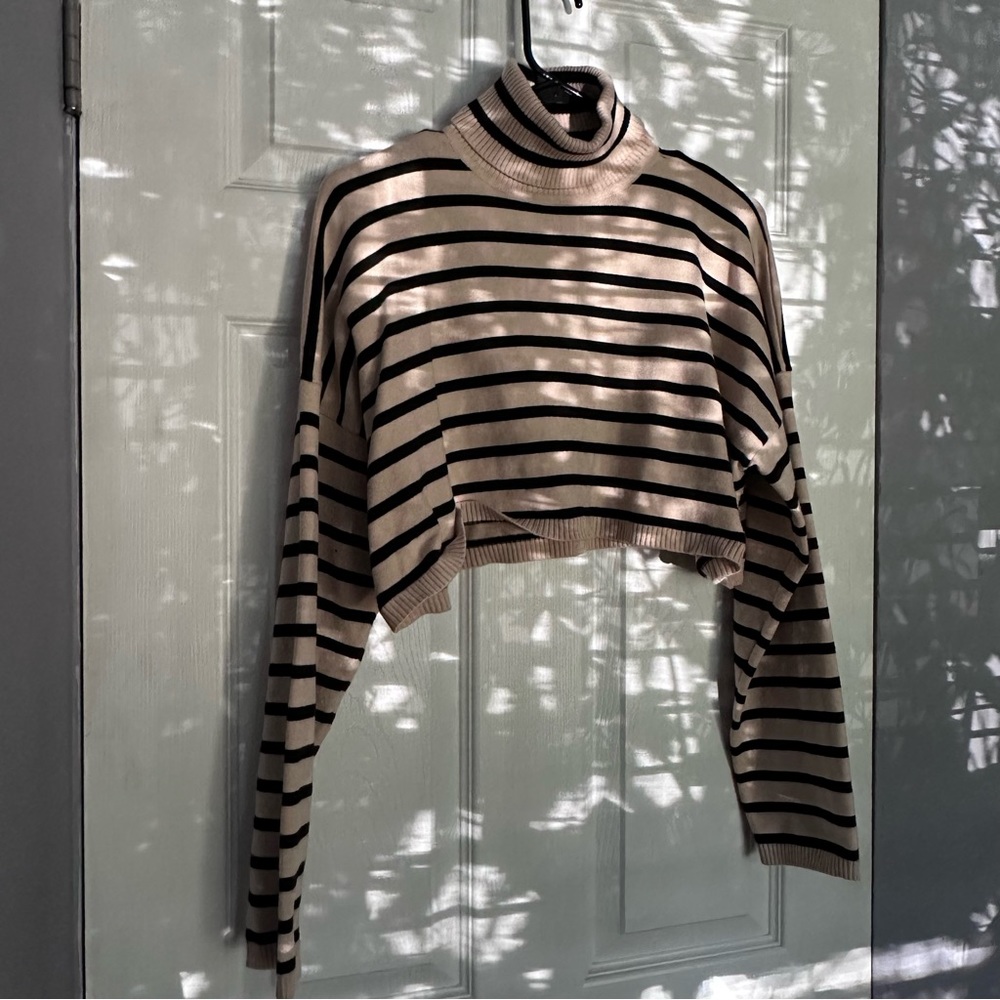 - [ ] Striped Cropped Turtle Neck